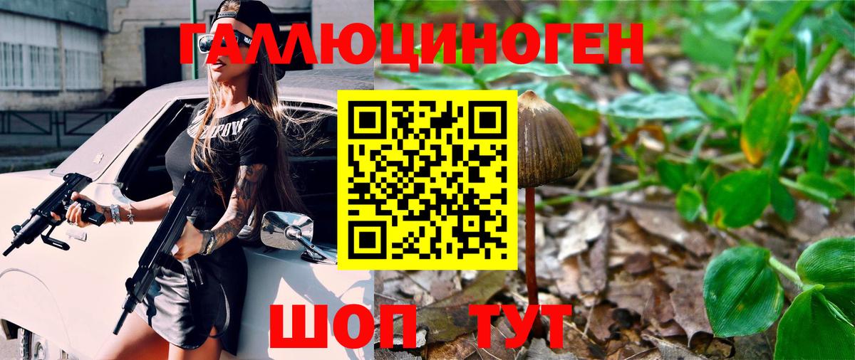 Псилоцибиновые грибы Psilocybine cubensis Ржев